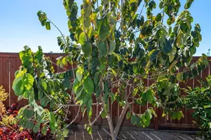 2143 Flint, Escondido, CA 92027 - Photo 45