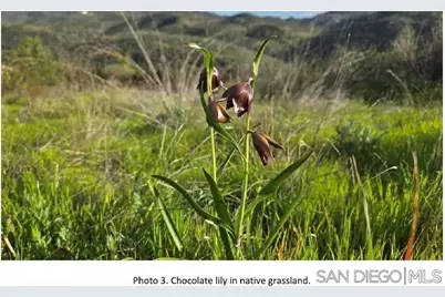  Highway 67, Lakeside, CA 92040 - Photo 3