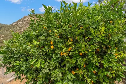  15945 Shalom, Ramona, CA 92065 - Photo 69