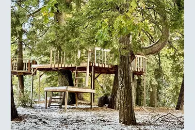  3413 Fern Meadow, Palomar Mountain, CA 92060 - Photo 33