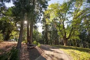 3413 Fern Meadow, Palomar Mountain, CA 92060 - Photo 27