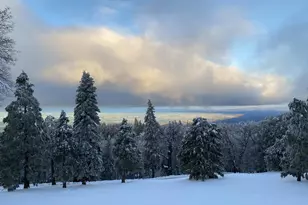 3413 Fern Meadow, Palomar Mountain, CA 92060 - Photo 35