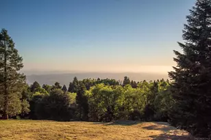 3413 Fern Meadow, Palomar Mountain, CA 92060 - Photo 29