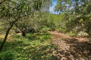 2417 Arista Ct, San Diego, CA 92103 - Photo 33