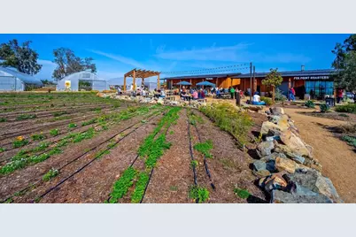  1216 Molara Ln, Encinitas, CA 92024 - Photo 49