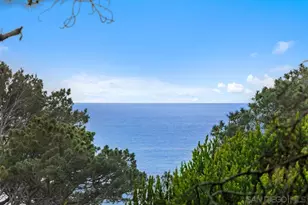 367 Pine Needles Dr, Del Mar, CA 92014 - Photo 19