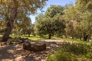 23835 Viejas Grade, Descanso, CA 91916 - Photo 59