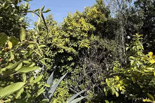 3103-3105 Central, San Diego, CA 92105 - Photo 33