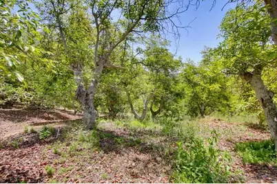  31675 Rancho Amigos Rd #1, Bonsall, CA 92003 - Photo 19
