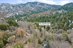 201 Hillside Spur, Cedar Glen, CA 92321 - Photo 11