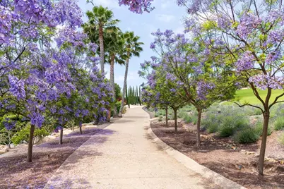  18245 Paseo Victoria, Rancho Santa Fe, CA 92067 - Photo 7