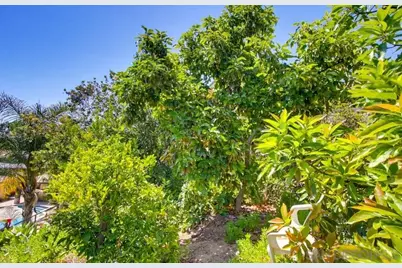  10018 Resmar Pl, San Diego, CA 91941 - Photo 51