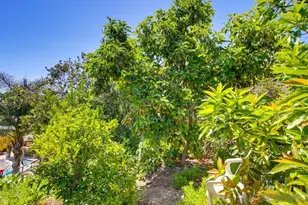 10018 Resmar Pl, San Diego, CA 91941 - Photo 51