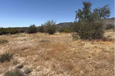  0 Lease Rd #n/a, Ranchita, CA 92066 - Photo 9