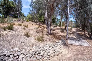 4905 El Arco Iris, Rancho Santa Fe, CA 92067 - Photo 29