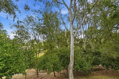  6540 Corte Valdez, Carlsbad, CA 92009 - Photo 45