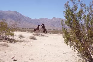 0 Borrego Valley Rd, Borrego Springs, CA 92004 - Photo 1
