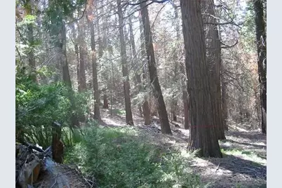  0 Crestline Road #25, Palomar Mountain, CA 92060 - Photo 1