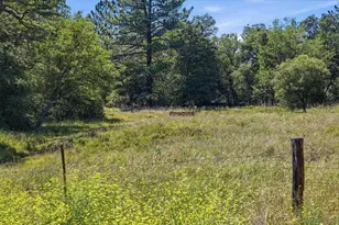 9474 Black Mountain Truck Trail, Santa Ysabel, CA 92070 - Photo 35