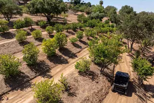 521 Rancho Camino, Fallbrook, CA 92028 - Photo 59
