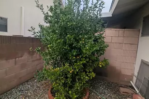 1181 W Mayberry, Hemet, CA 92543 - Photo 55