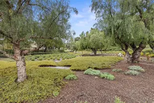 32003 Calle Novelda, Temecula, CA 92592 - Photo 35