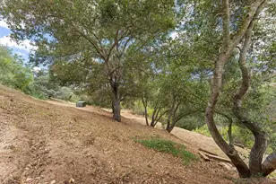 2557 Live Oak Park Rd, Fallbrook, CA 92028 - Photo 45