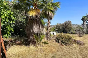 3257 Central Ave, San Diego, CA 91977 - Photo 11