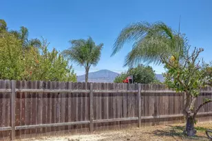 723 Osage St, Spring Valley, CA 91977 - Photo 29