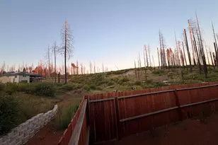 7131 Winding Way, Grizzly Flats, CA 95636 - Photo 19