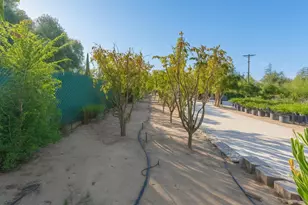 732 Hamilton Ln, Fallbrook, CA 92028 - Photo 35