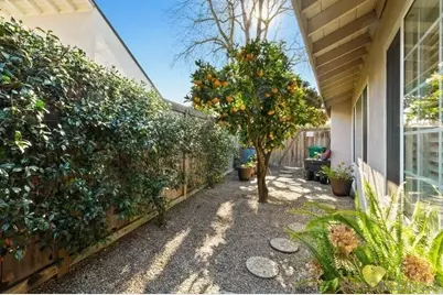  3868 Avenida Feliz, Rancho Santa Fe, CA 92091 - Photo 25