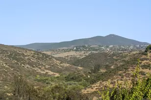 16551 Zumaque, Rancho Santa Fe, CA 92067 - Photo 45