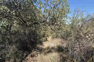 22815 Illahee Dr, Alpine, CA 91901 - Photo 27