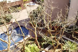 850 State, San Diego, CA 92101 - Photo 13