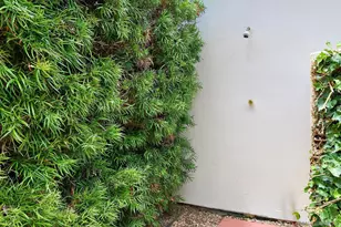 4311 Vista De La Tierra, Del Mar, CA 92014 - Photo 29