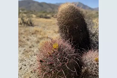  Broken Arrow #89, Borrego Springs, CA 92004 - Photo 9