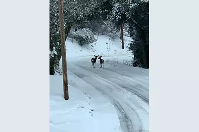  2816 Heliotrope Dr, Julian, CA 92036 - Photo 47
