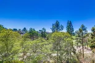 7838 Cowles Mountain Ct, San Diego, CA 92119 - Photo 23