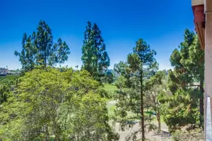 7838 Cowles Mountain Ct, San Diego, CA 92119 - Photo 23
