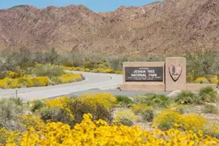 8022 Wesley Rd, Joshua Tree, CA 92252 - Photo 71