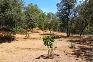 25218 Black Canyon Rd, Santa Ysabel, CA 92070 - Photo 43