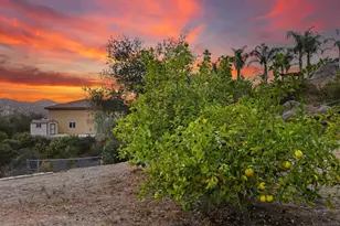 1829 Via Corina, Alpine, CA 91901 - Photo 49