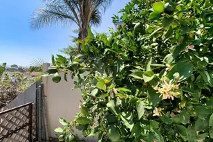 1129 Finch, El Cajon, CA 92020 - Photo 53