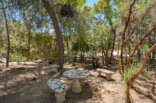 32346 Camino San Ignacio, Warner Springs, CA 92086 - Photo 29