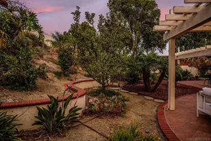 1007 Passiflora Ave, Encinitas, CA 92024 - Photo 49