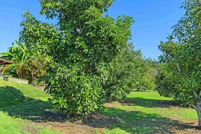  363 Tumble Creek Ln, Fallbrook, CA 92028 - Photo 55
