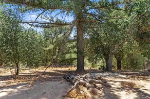 26748 San Felipe Rd, Warner Springs, CA 92086 - Photo 21