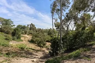 1129 Woodlake Dr, Encinitas, CA 92007 - Photo 31