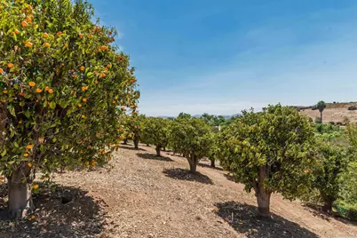  5148 Minneola Drive, Fallbrook, CA 92028 - Photo 35